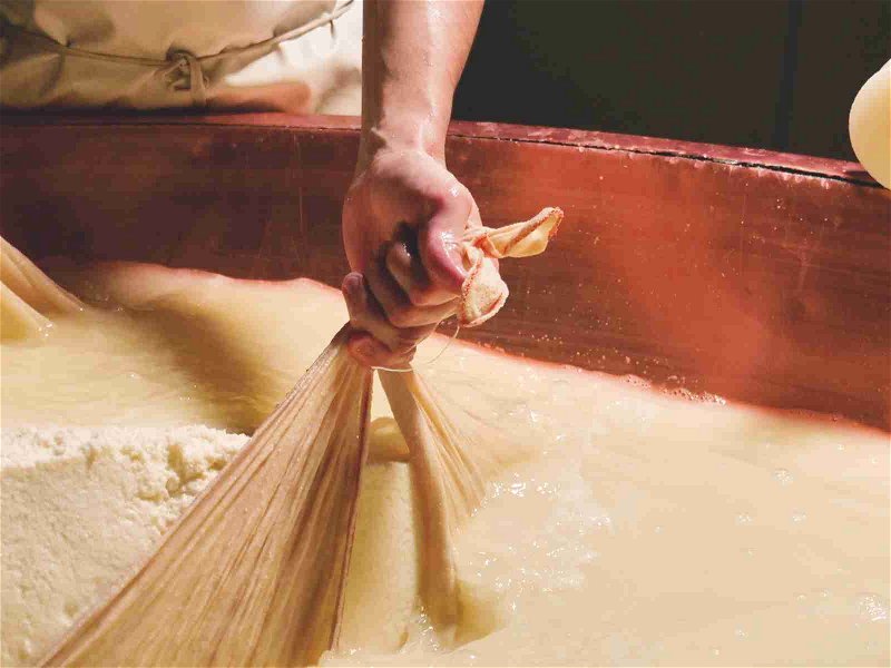 Cheesemaking: separating curds from whey