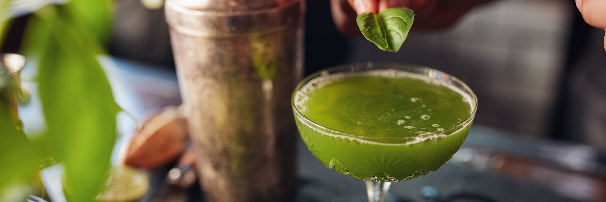 Cocktail Recipes with Mint, Basil and Coriander