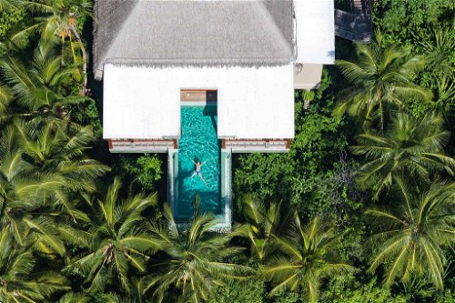 Treetop Pool Villa (Amilla Maldives)