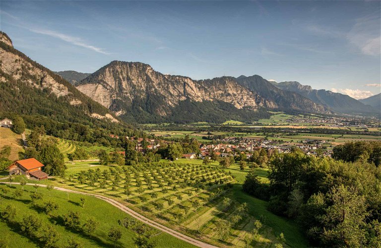 Das alpine Klima in der Bündner Herrschaft ist perfekt geeignet, um Cool-Climate-Weine zu produzieren.&nbsp;