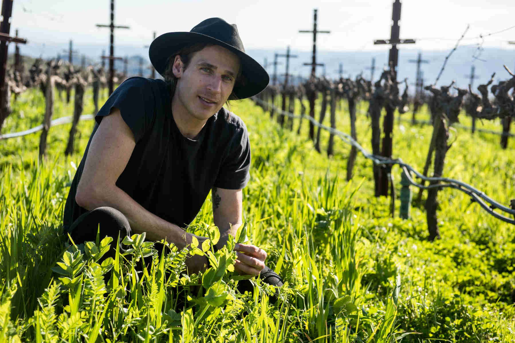 Profile: Carlo Mondavi of RAEN Winery on the Sonoma Coast - Falstaff