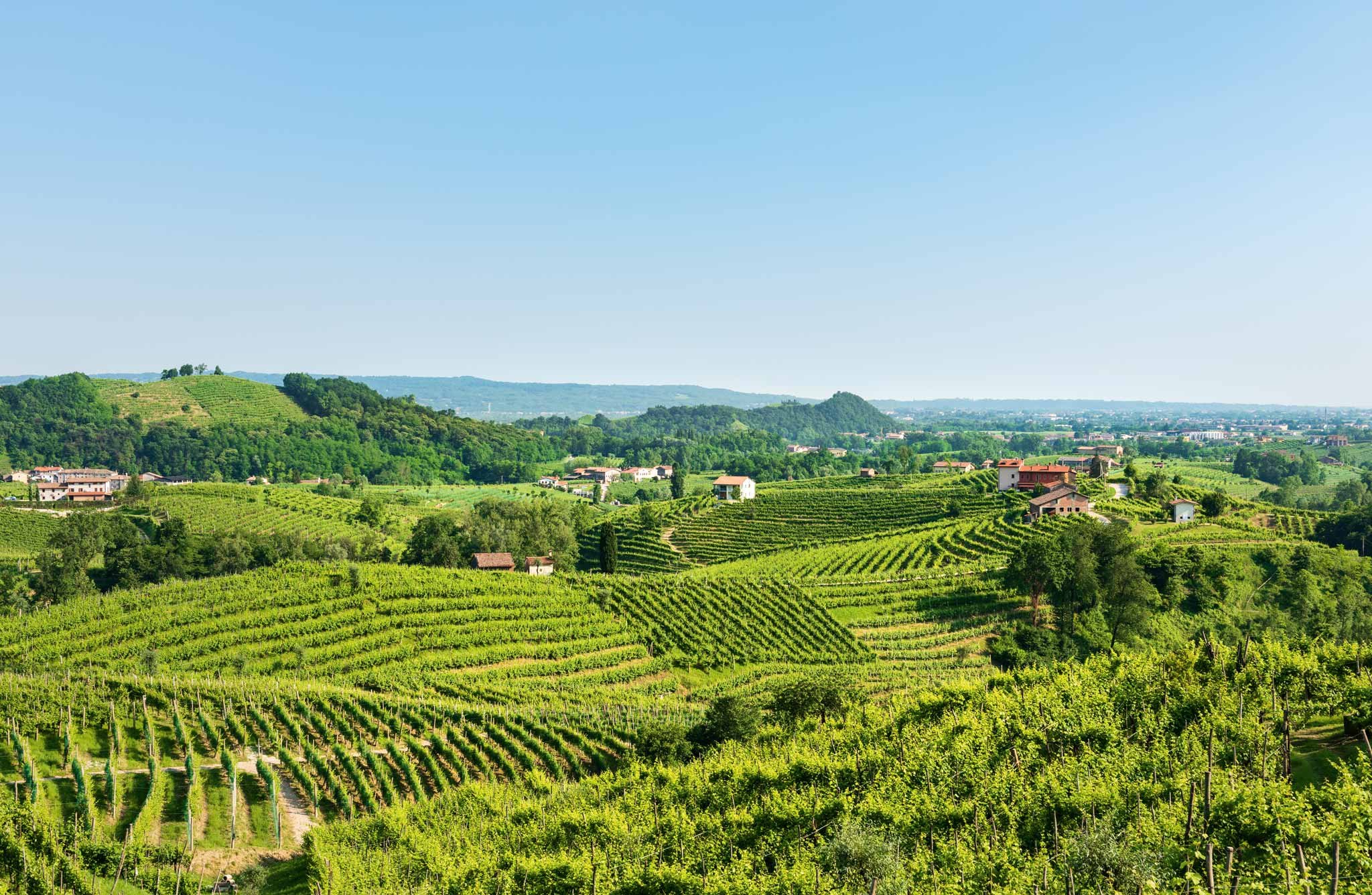 Das Anbaugebiet für Prosecco DOC erstreckt sich von Treviso im Westen bis vor Triest im Osten.