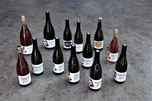 Bei Herter Wein gibt es zwei Weinlinien: Auf den Weinen aus eigenen Trauben sind Illustrationen von Fabelwesen abgebildet.