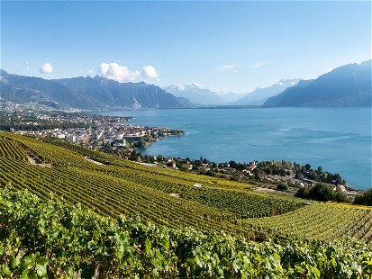 Blick auf den Genfersee in der Weinregion Lavaux.