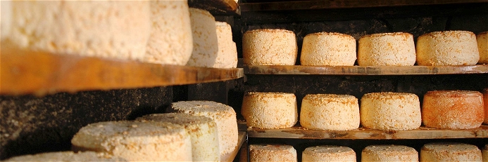 The Montafon Sura Kees (sour cheese) is allowed to mature in the cellar for several months and is an indispensable part of the local cuisine.&nbsp;