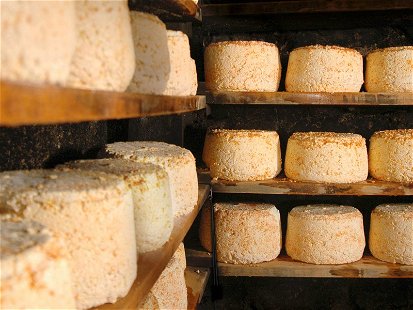 The Montafon Sura Kees (sour cheese) is allowed to mature in the cellar for several months and is an indispensable part of the local cuisine.&nbsp;
