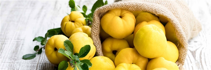 Eight Things You Should Know about Quinces