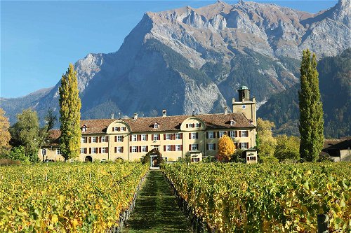 Schloss Salenegg:&nbsp;Die Wiege der Bündner Weinkultur
Bereits im Jahr 1068 begann man auf Schloss Salenegg Weinbau zu betreiben. Heute gilt das Schloss inmitten der Bündner Alpen als ältestes noch existierendes Weingut Europas.&nbsp;