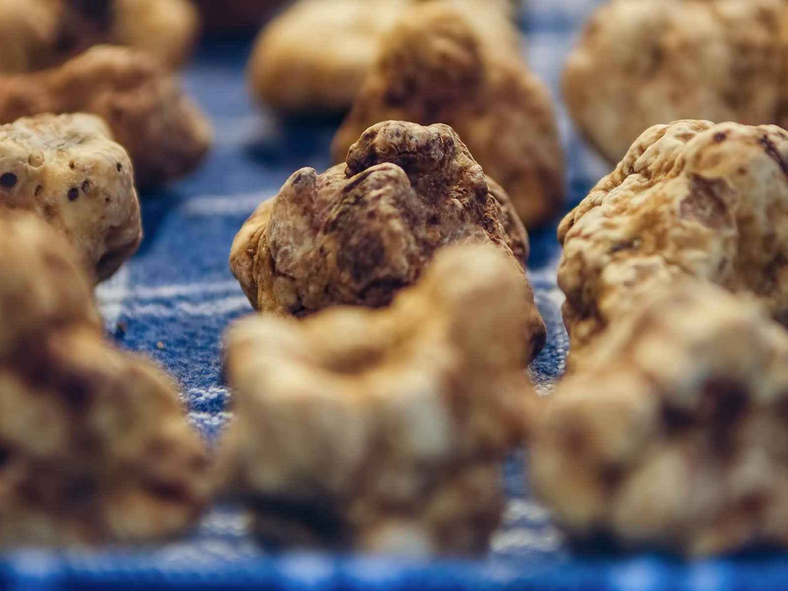 What You Should Know about Truffles
