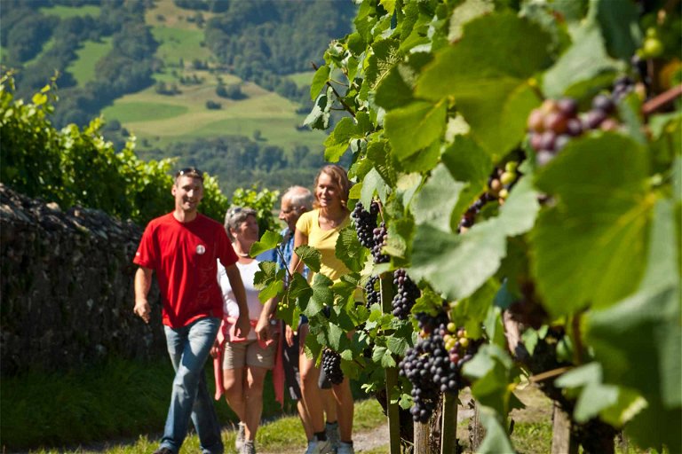 Dieser Weinwanderweg führt durch die Bündner Herrschaft und umfasst insgesamt 40 Kilometer.