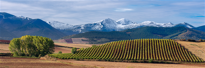 Am Fuße der Pyrenäen liegt die Provinz Rioja&nbsp;