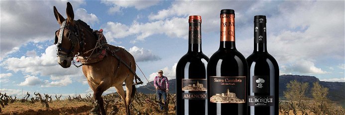 Die Herkunft von Sierra Cantabria ist in jedem Wein schmeckbar.