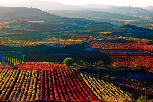 Das Klima in der Rioja ist kontinental mit Einflüssen des Atlantiks.