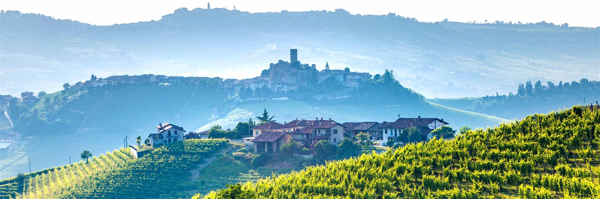 Die Weinregion Barolo in Piemont