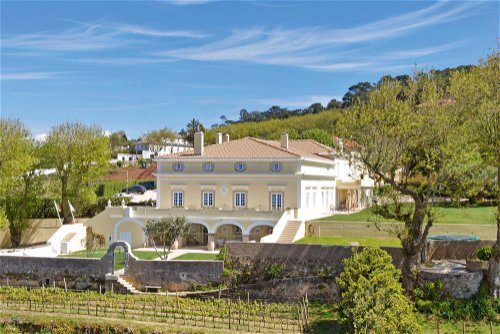 Das Weingut Casal Sta. Maria in der Region Colares wurde 1962 von Baron Bodo von Bruemmer ins Leben gerufen.