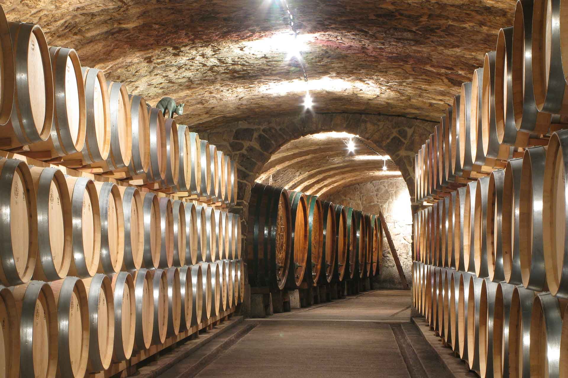 Der Weinkeller von Chardonnay-Sieger Andi Kollwentz