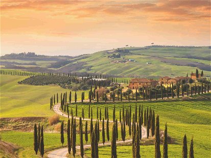 Tuscany still has the same breath-taking landscape but its&nbsp;wines have evolved massively over the past 50 years.