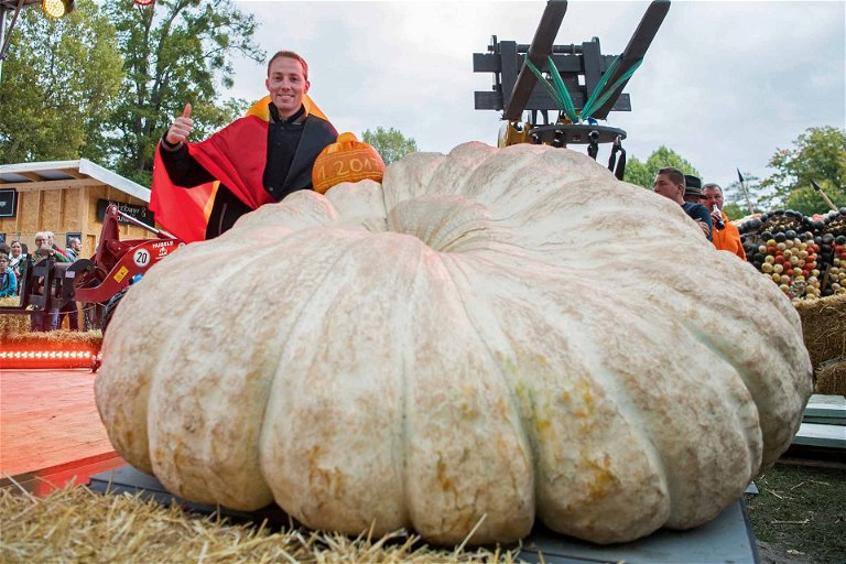 The largest pumpkin in the world weighed a fraction over 1,190kg&nbsp;and was grown by Mathias Willemijns of Belgium.