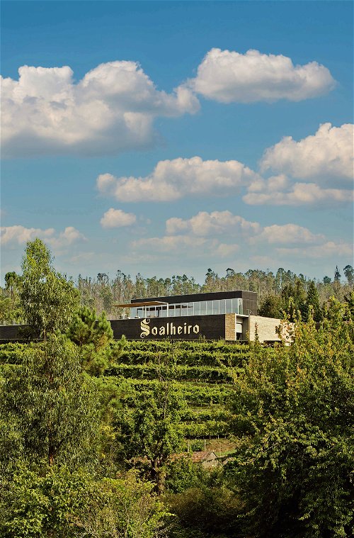 Weinmacher João António Cerdeira begann im Jahr 1982 auf Soalheiro reinsortige Alvarinhos zu keltern.