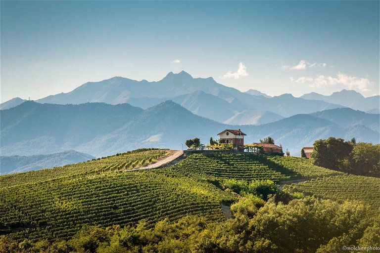 Das Weingut Nervi, insbesondere die Lage Molsino, zählt zu den absoluten Top-Anbaugebieten im Nord-Piemont.&nbsp;