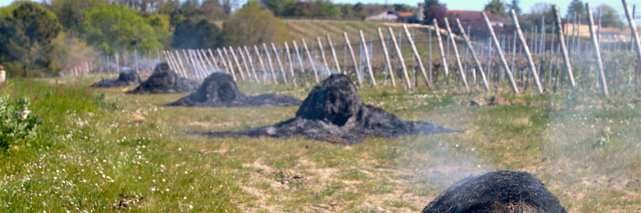 Burning hay in an effort to save vines from frost and cold in the&nbsp;Dorodogne, France.