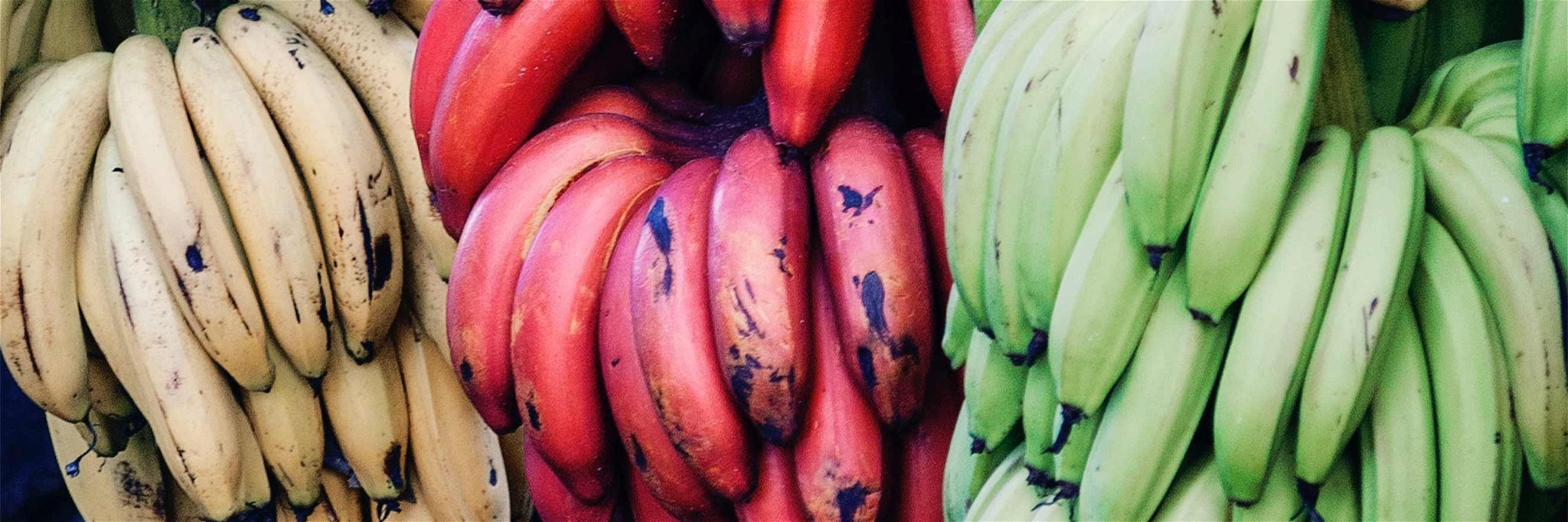 Raw, braised, fried, baked: the red bananas' aromas and flavours can enrich&nbsp;many a dish.