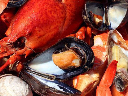 The 10 Best Wine Pairings for Shellfish