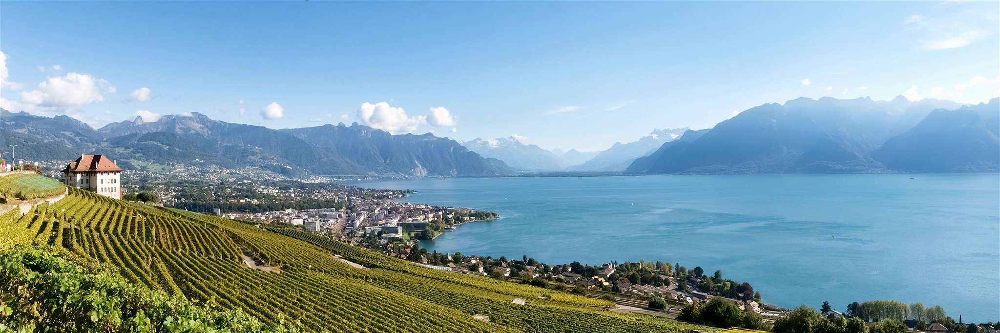 View of Lake Geneva in the Lavaux wine region.