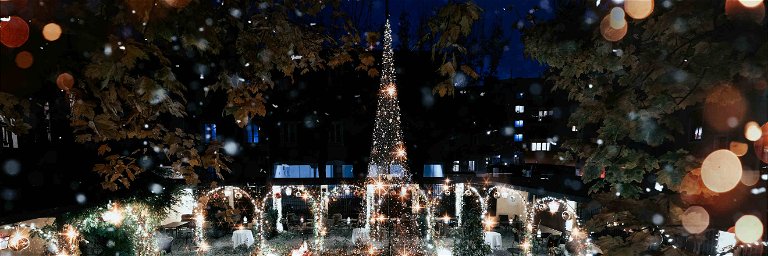 Ein acht Meter hoher Lichterbaum steht inmitten des Markts.