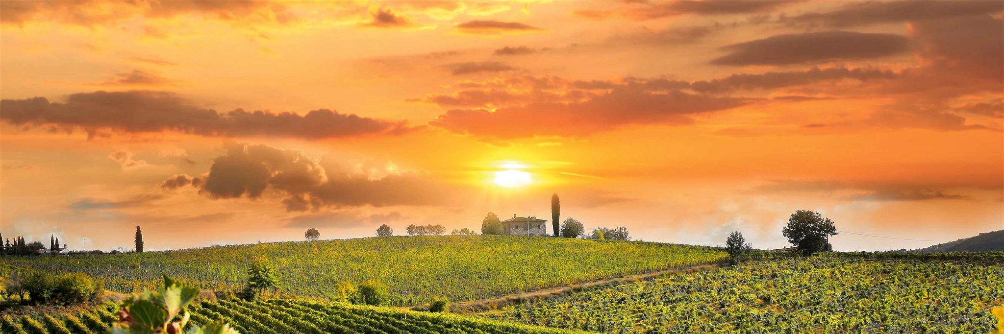 Die romantischen Sonnenuntergänge über&nbsp; den Weinbergen der Toskana laden dazu ein, die Seele baumeln zu lassen.
