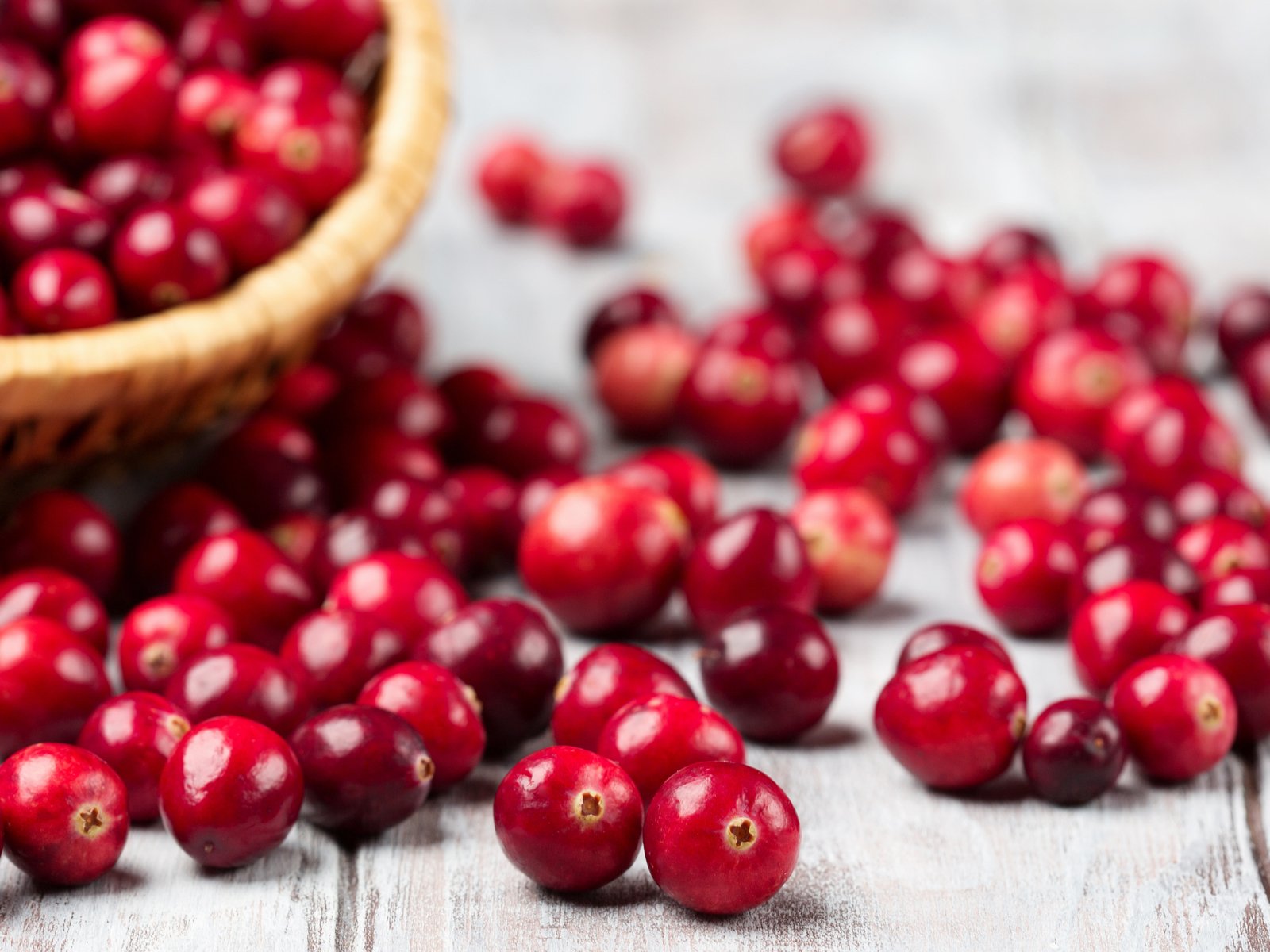 It wouldn’t be Thanksgiving or Christmas without cranberries.&nbsp;