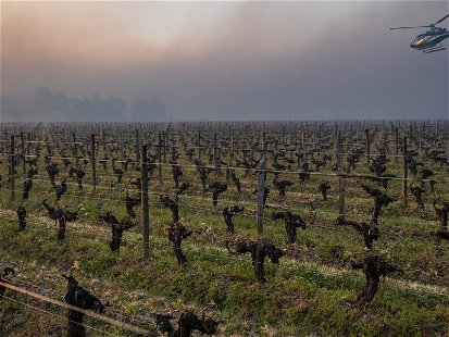 A helicopter tries to circulate warmer air to mitigate the frost damage to a French vineyard.