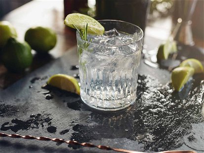 Gin mit Tonic ist seit Jahrzehnten ein Dauerbrenner an der Bar. Hersteller und Barkeeper werden bei den Kombinationsmöglichkeiten inzwischen immer kreativer.