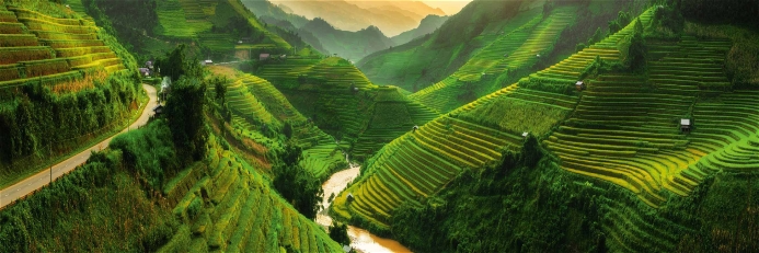 Vietnam ist ein Naturparadies. Drei Viertel des Landes sind von Bergen und Hochebenen bedeckt.