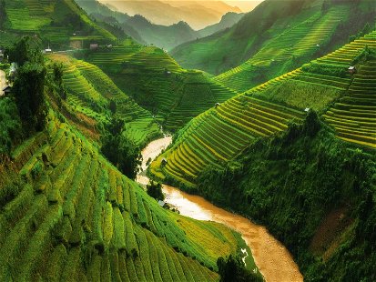 Vietnam ist ein Naturparadies. Drei Viertel des Landes sind von Bergen und Hochebenen bedeckt.