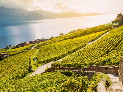 Das Lavaux zählt zu den schönsten Weinregionen der Schweiz