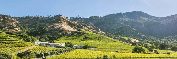Shafer Vineyards im Stag's Leap District von Napa Valley.