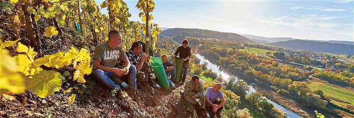 Das Weingut Van Volxem bewirtschaftet gut 85 Hektar bester Schiefersteillagen in fast allen Tälern der Saar. Die Jahresproduktion beläuft sich auf mehr als 600.000 Flaschen Wein.