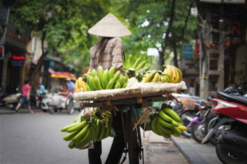 Ob auf dem Fahrrad oder dem Moped, Vietnamesen sind Meister darin, die unterschiedlichsten Waren auf zwei Rädern zu transportieren.