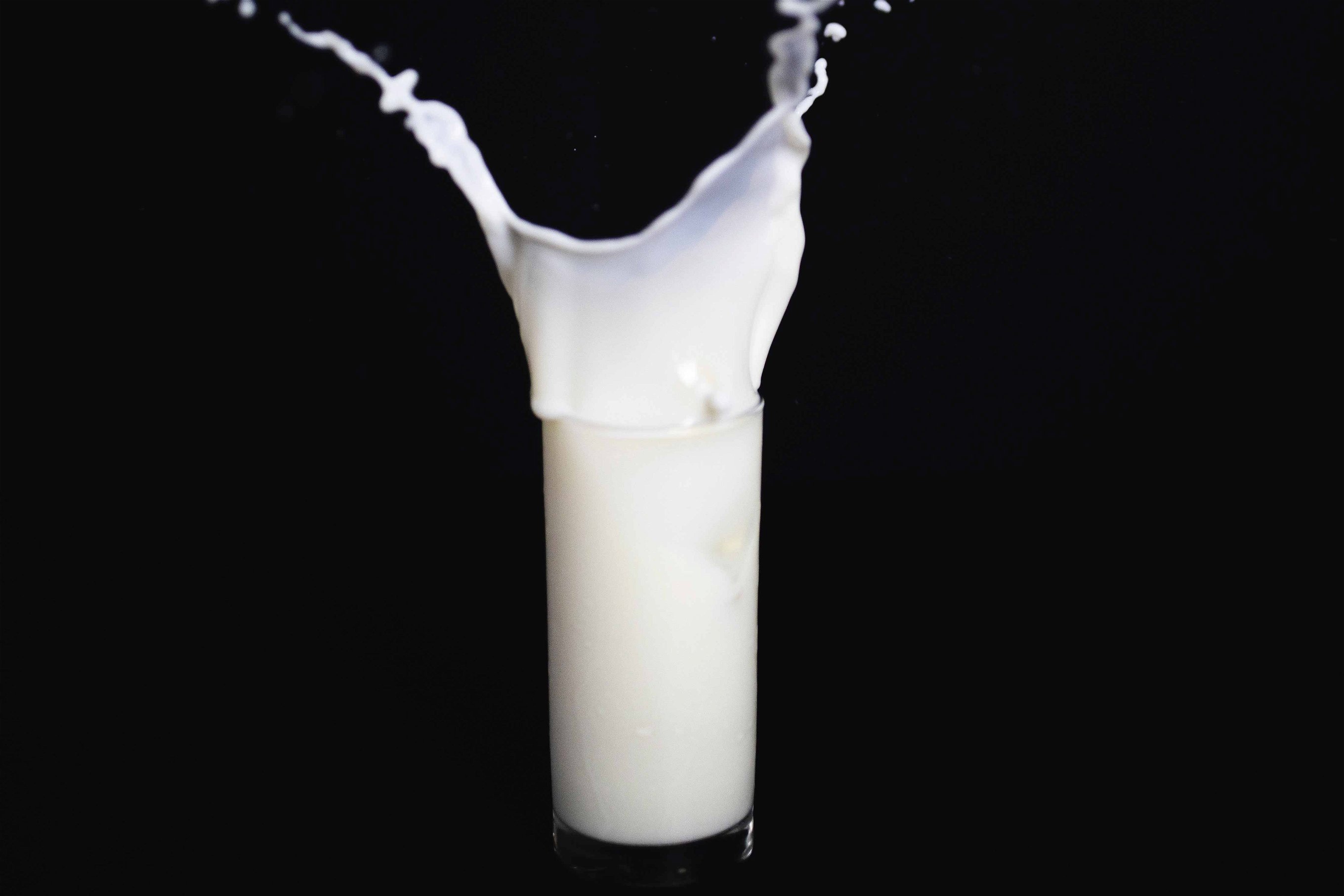 Inspiriert vom Vorbild künstlich wachsender Muskelzellen, soll auch Milch entstehen.
