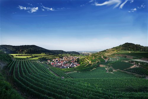 Die Weinregion Kaiserstuhl