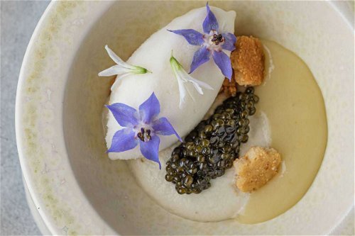«Beluga» Spezialität: Sorbet aus Dom Perignon mit Algen und Kaviar