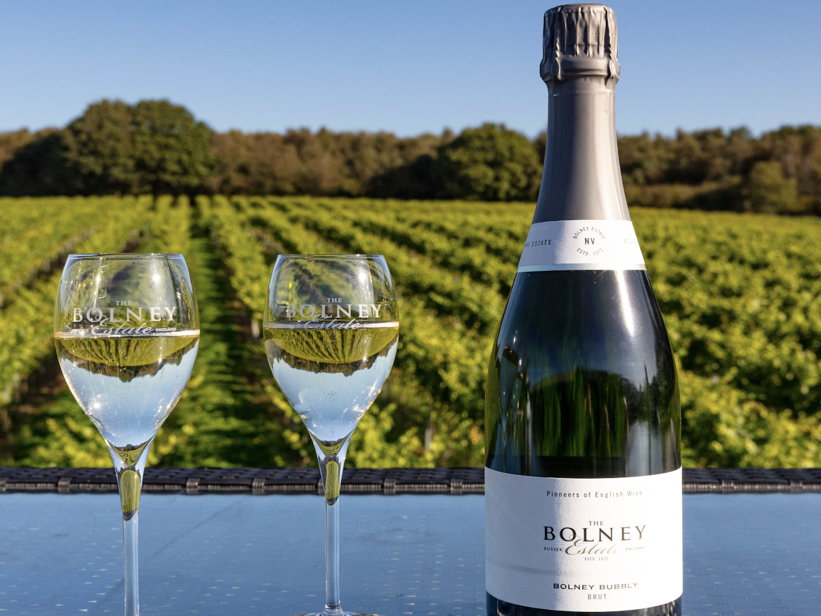 The UK's Bolney Wine Estate has been bought by&nbsp;Henkell Freixenet.
