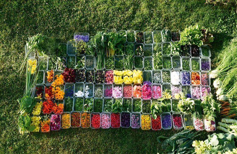 Aus den aufwendig gepflegten Gärten von «Maison Bras» kommen Gemüse und Blumen für die Küche von Michel Bras.