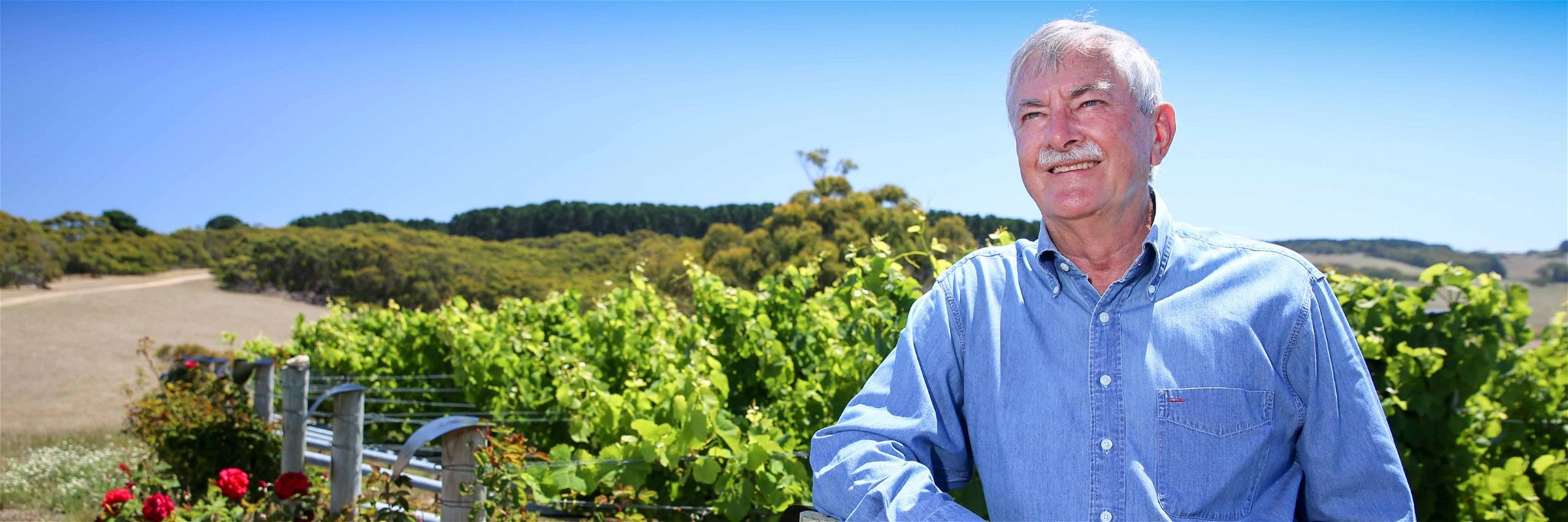 Brian Croser in his vineyard