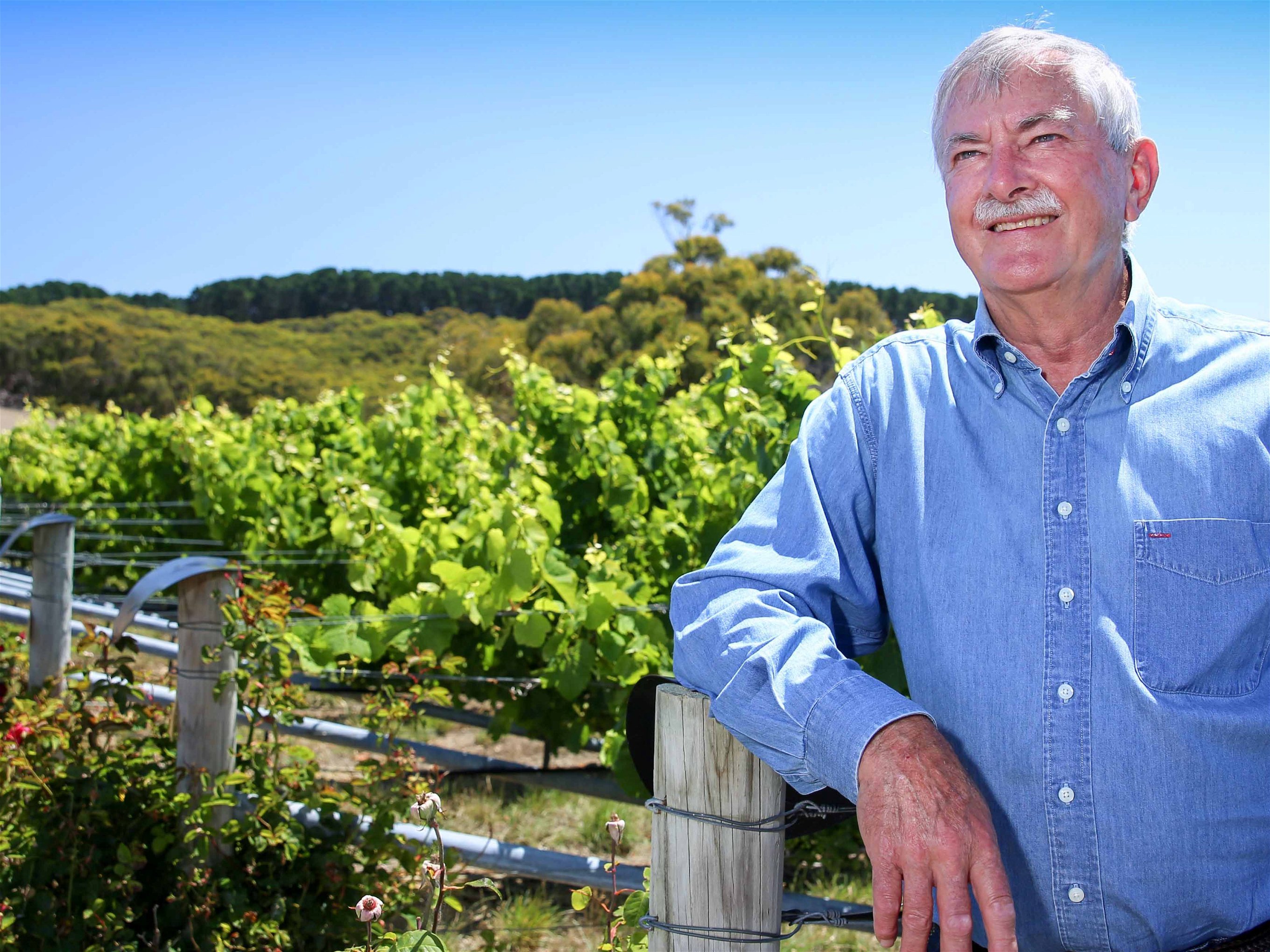Brian Croser in his vineyard