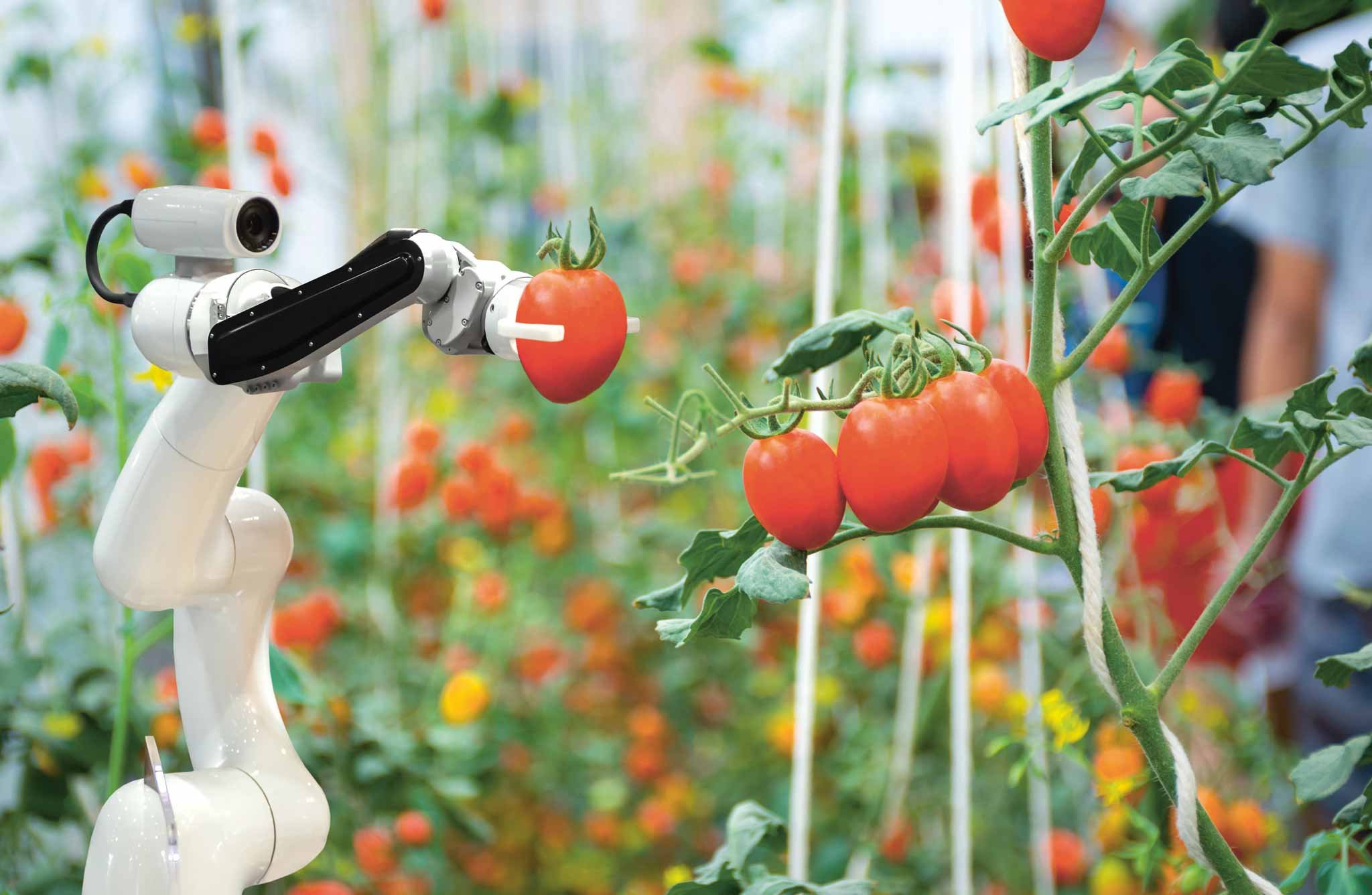 Viele Landwirte gehen davon aus, dass sie in ihrer Arbeit künftig verstärkt von Robotern unterstützt werden.