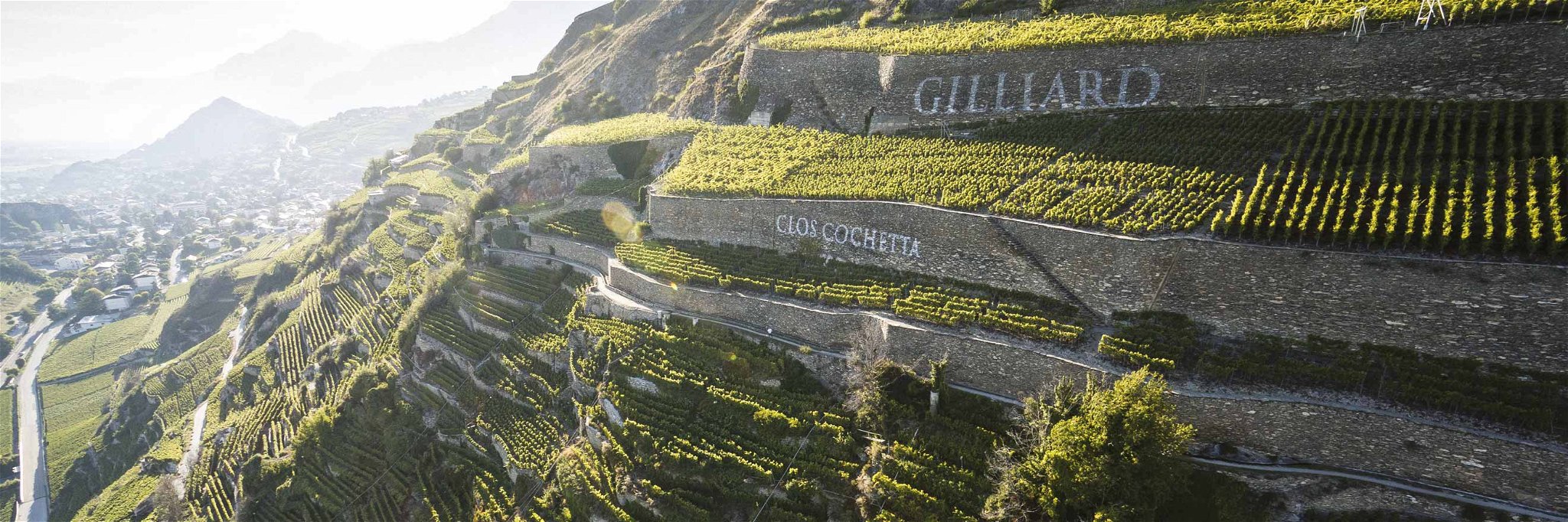 In den Hängen der Walliser Weinlandschaft entsteht der Fendant Les Murettes.