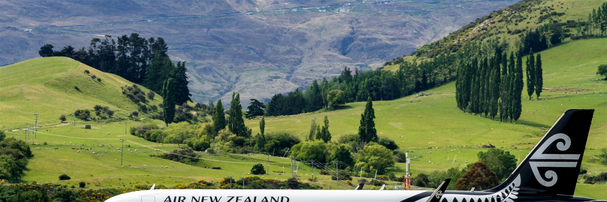Air New Zealand has topped the list of 385 airlines.&nbsp;
