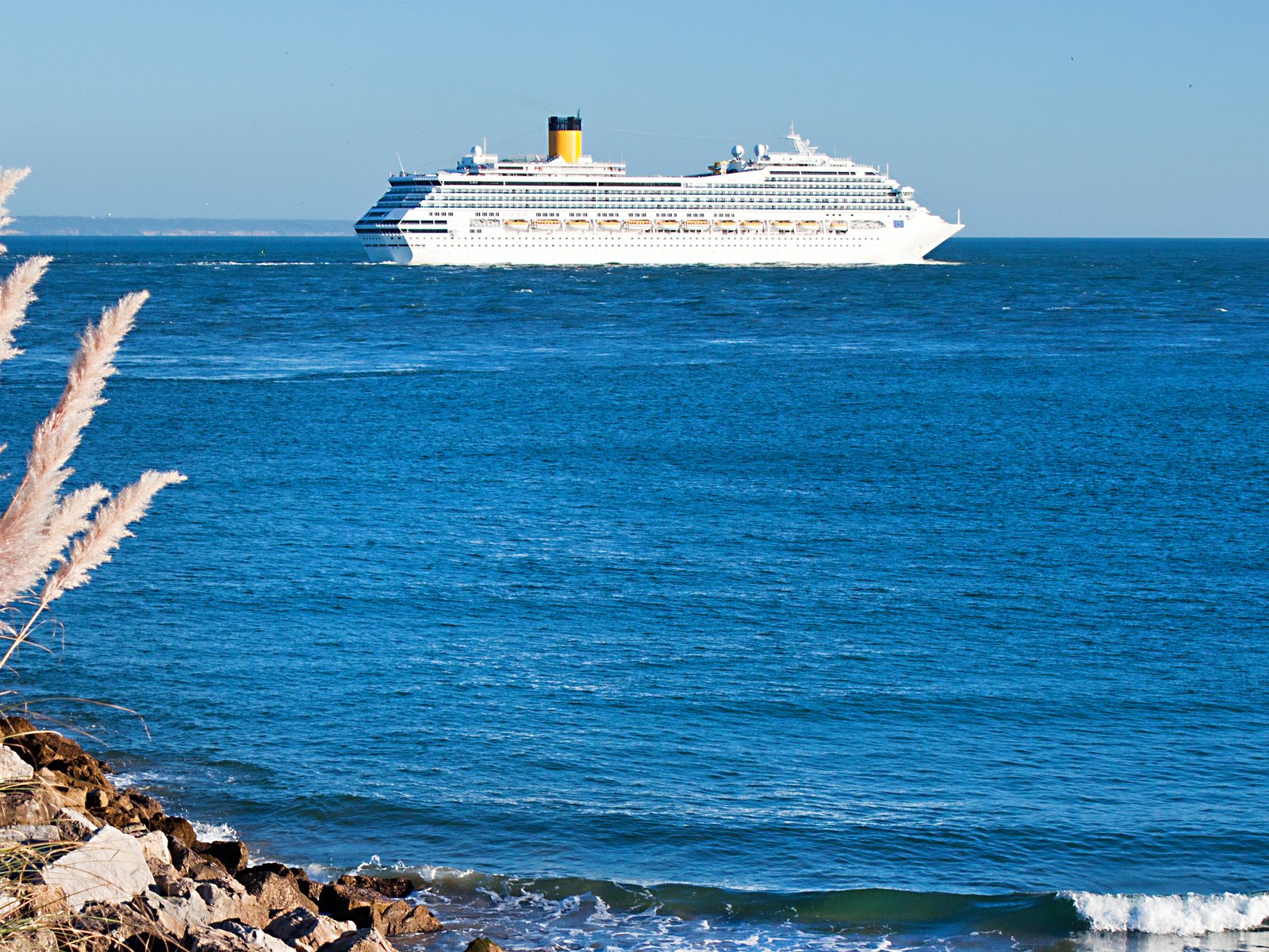 The CDC advice to avoid cruise travel is a blow to the struggling industry.